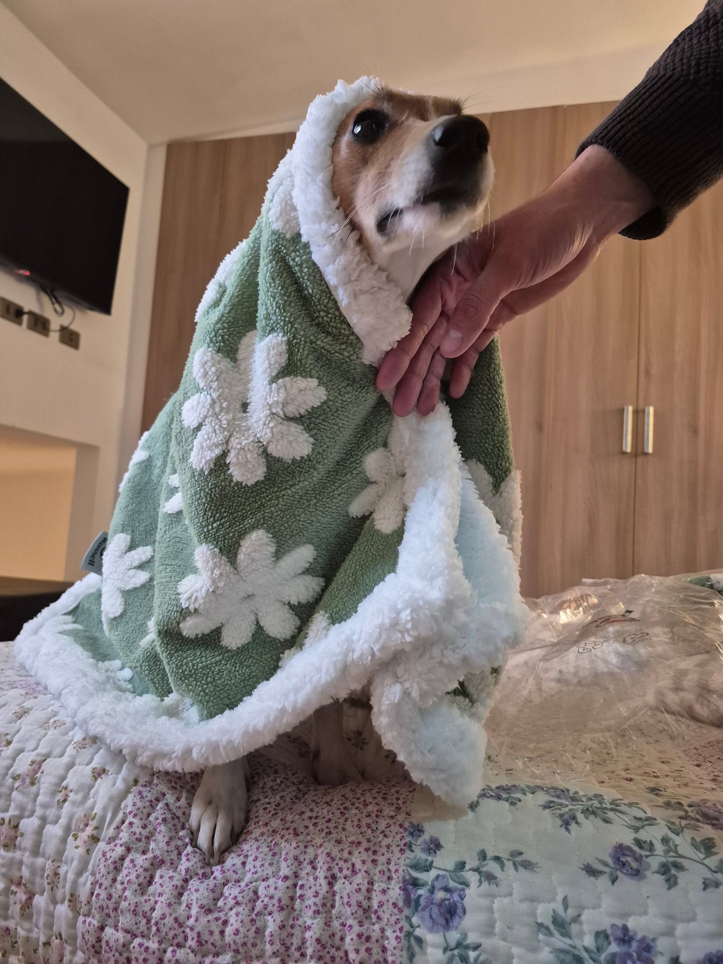 Manta Impermeable Premium Russel® Gris | Doble Cara Jacquard + Sherpa |