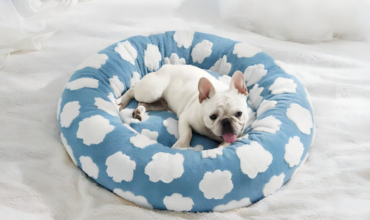 Cama Donut Antiestrés Premium Russel® | Plush Shaggy Efecto Calma + Soporte